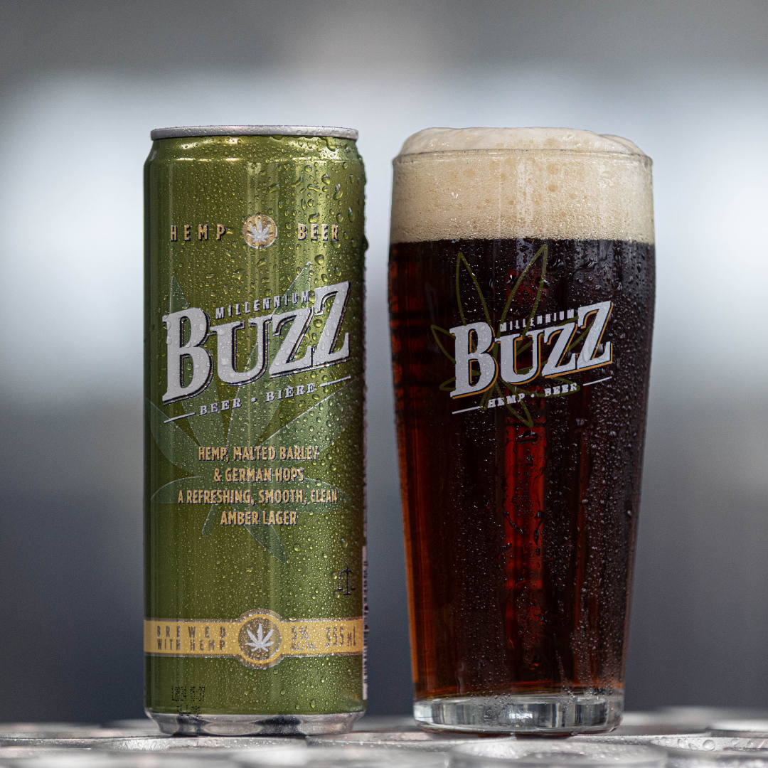 Buzz Beer Hemp Lager